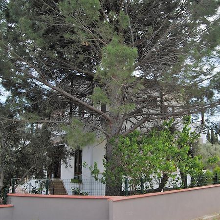 Beyaz Konak Guere Ngoại thất bức ảnh