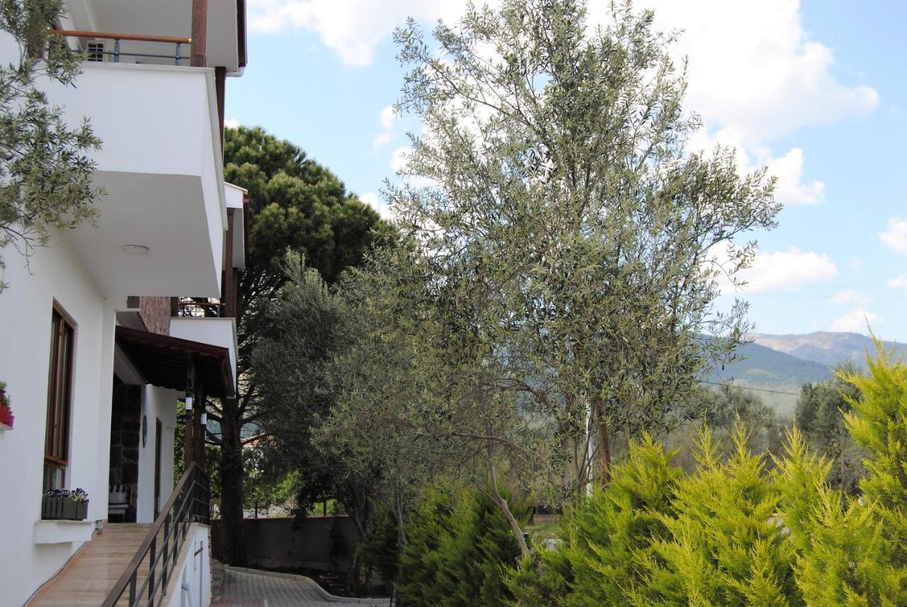 Beyaz Konak Guere Ngoại thất bức ảnh